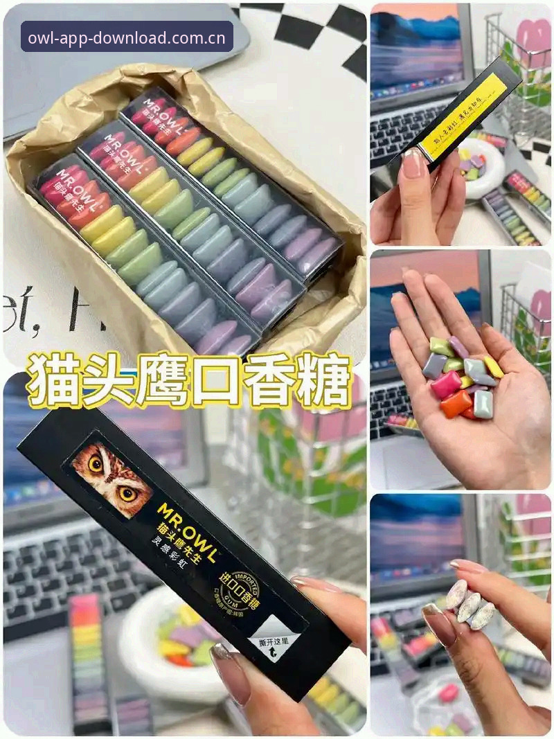 猫头鹰体育旧版使用指南与新版对比：老用户如何找到更顺手的体验？