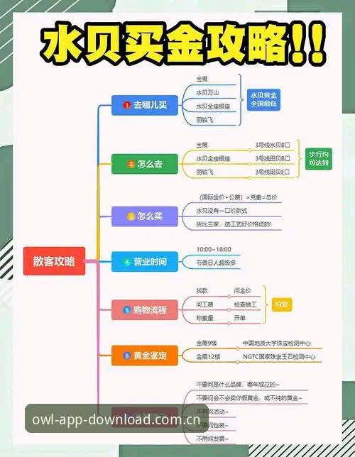 资深用户亲测：猫头鹰体育账号登录全流程实战心得，2025最新版下载避坑指南